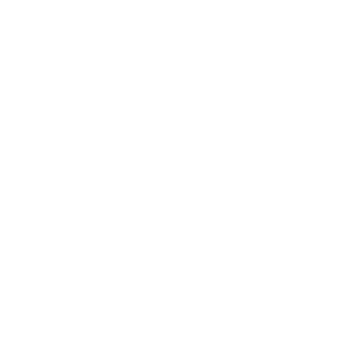 SHAN Esthetics logo